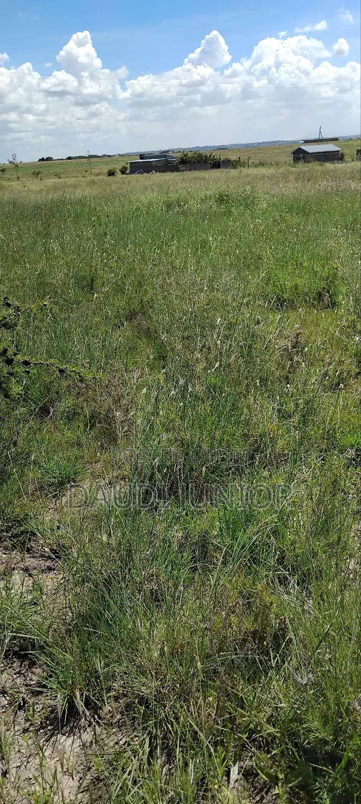 Plot for Sale
