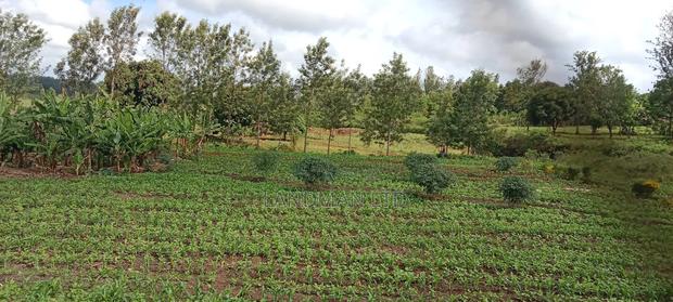 3/4 Acre Developed Land for Sale in Maragua Kaharati