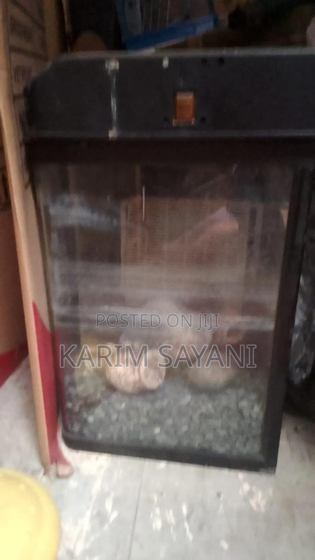 Fish Aquarium