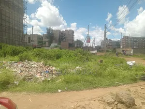 Ruiru Kamakis Prime Commercial 50x100 Corner Plot
