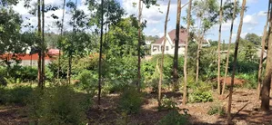 100x100 Residential Plot for Sale in Gikambura (Rio Nderi) – KSH 6.7m
