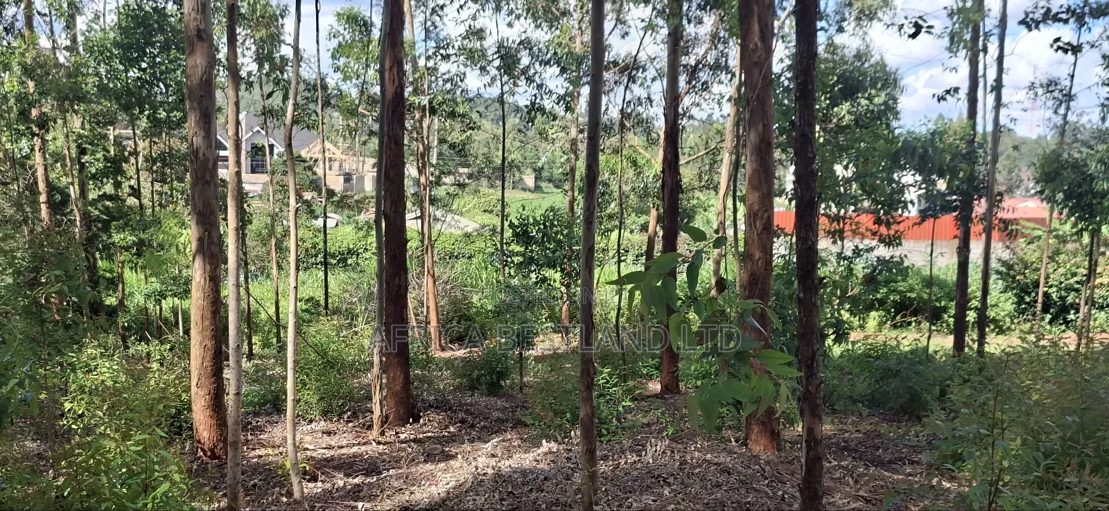 100x100 Residential Plot for Sale in Gikambura (Rio Nderi) – KSH 6.7m