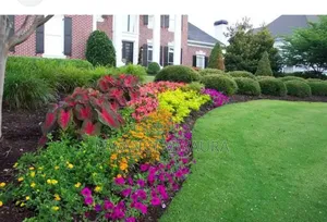 Landscaping Services