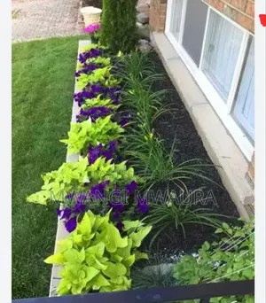 Landscaping Services