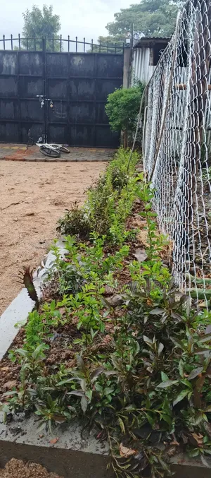 Landscaping Services