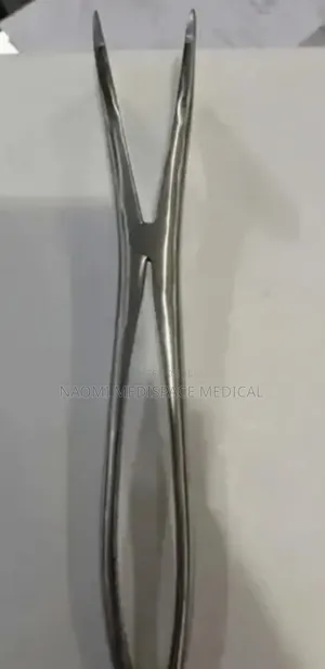 Quality Plaster Spreader (Stainless Steel)