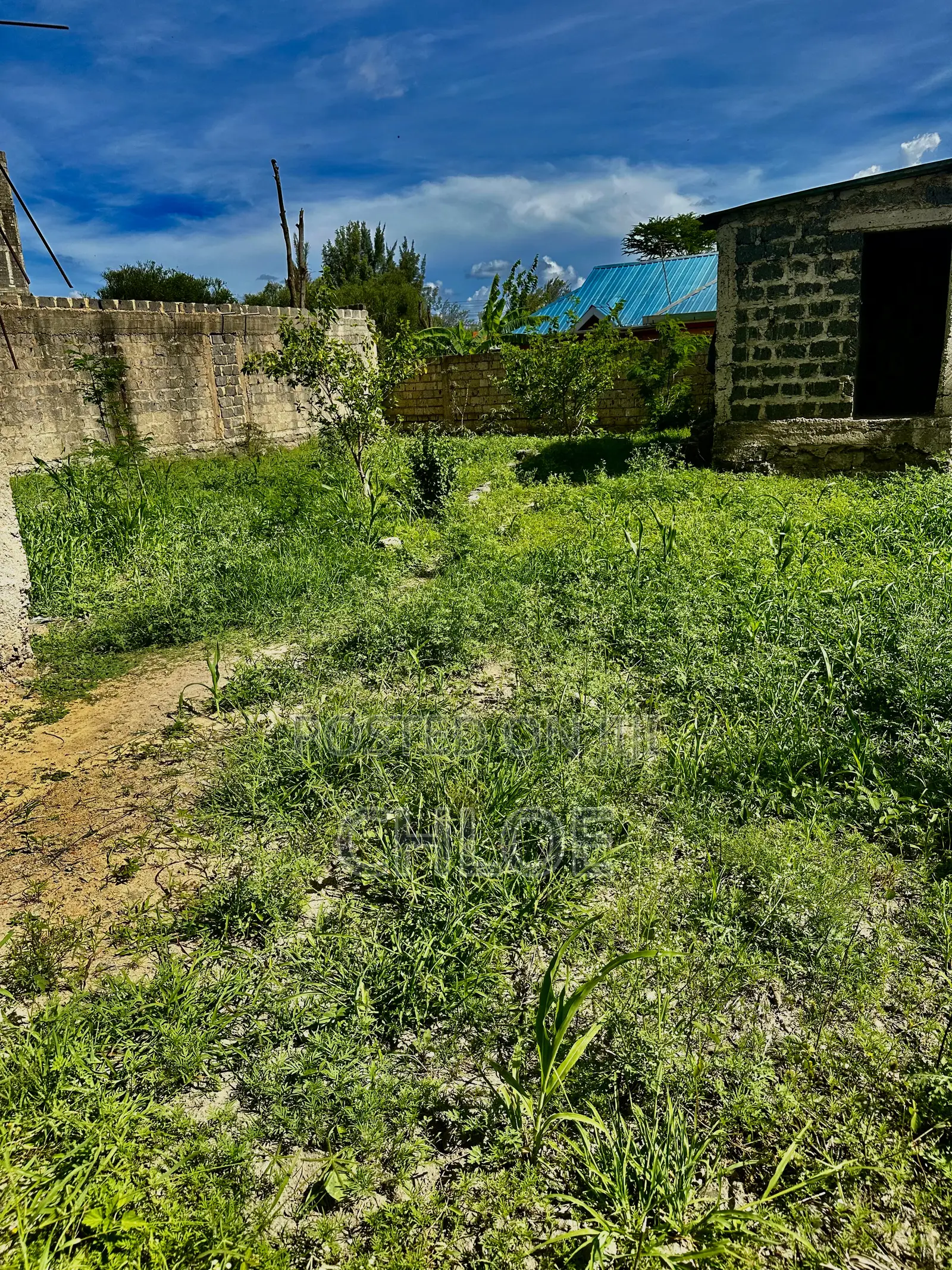 Plot for Sale