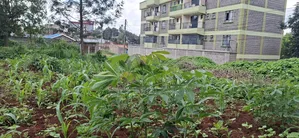 Prime 100x100 Plot for Sale – Kabete, Gathiga