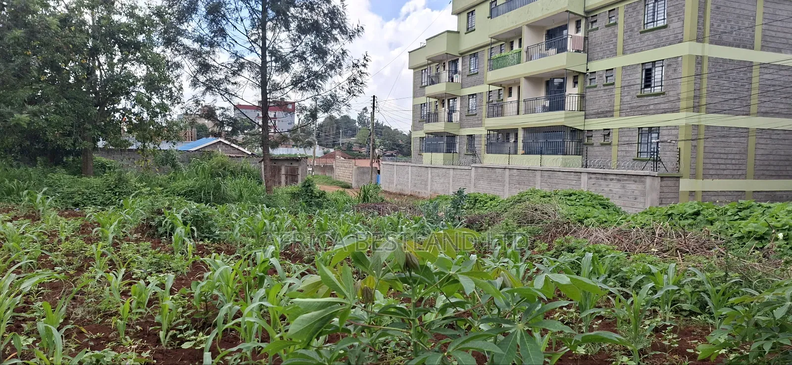 Prime 100x100 Plot for Sale – Kabete, Gathiga