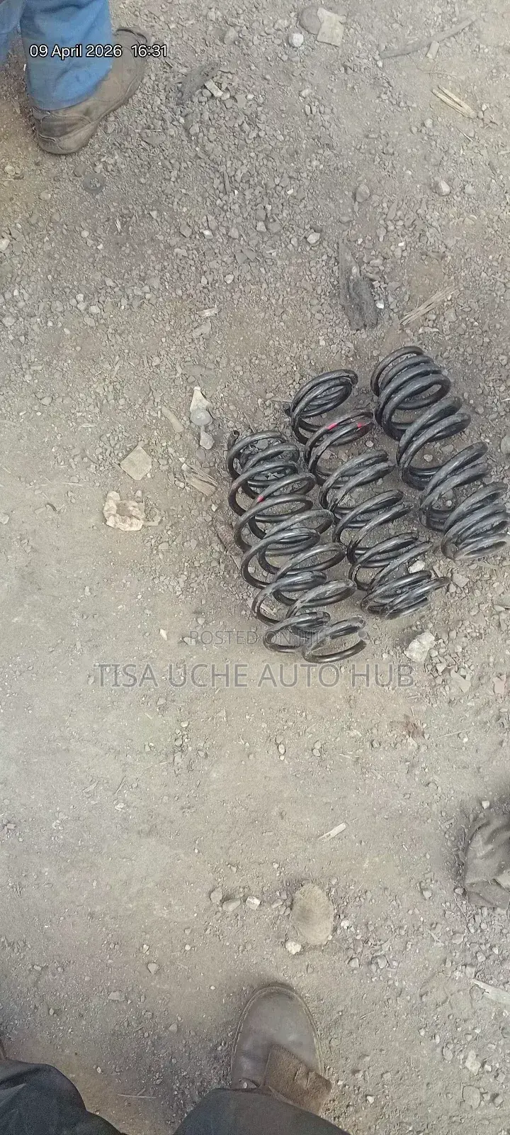 Heavy Duty Coilspring Alto and Mira