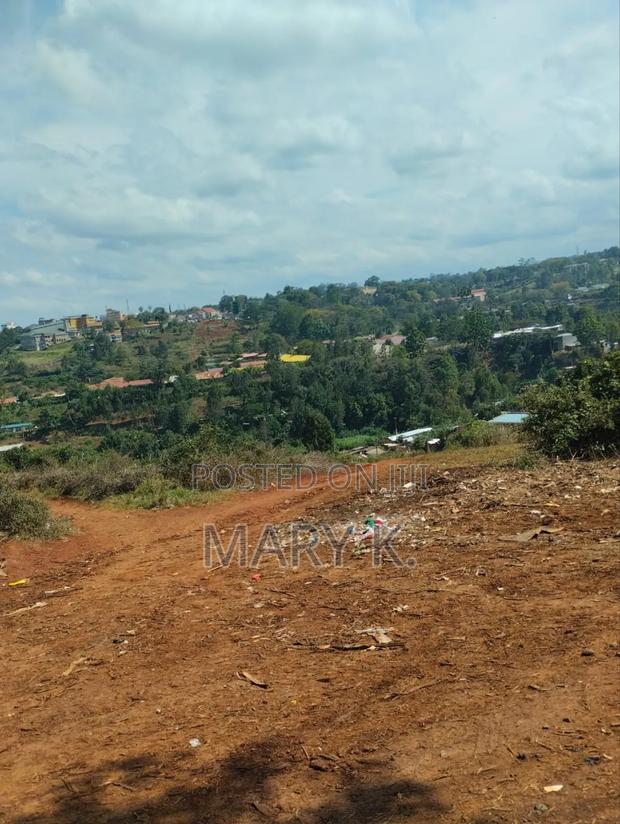 Half Acre Land in Nyeri Kingongo - thumbnail 2