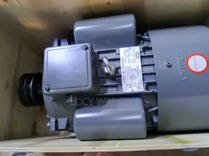 Heavy Duty Motor