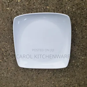 12 PCS Melamine Plate