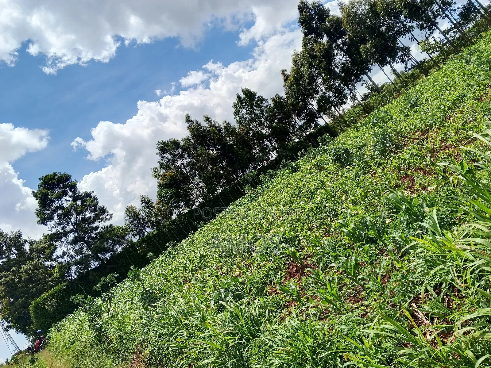 1 Acre Ndeiya Loyal Prime for Residential
