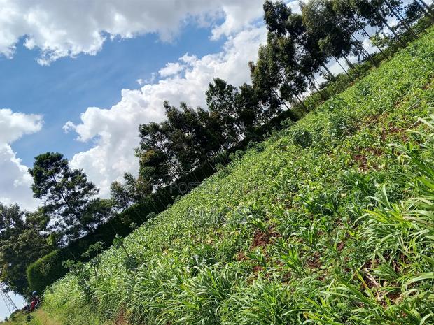 1 Acre Ndeiya Loyal Prime for Residential