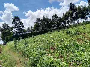 1 Acre Ndeiya Loyal Prime for Residential
