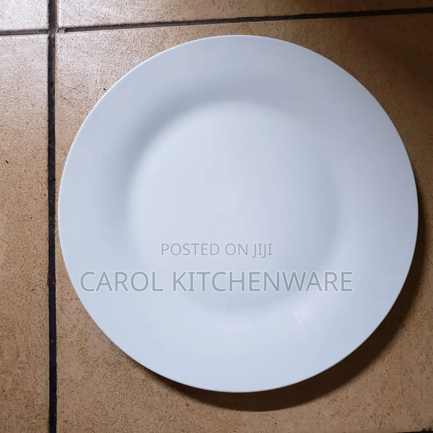 Ceramic Dinner Plate
