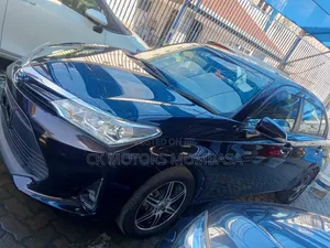 Toyota Axio 2019 Purple