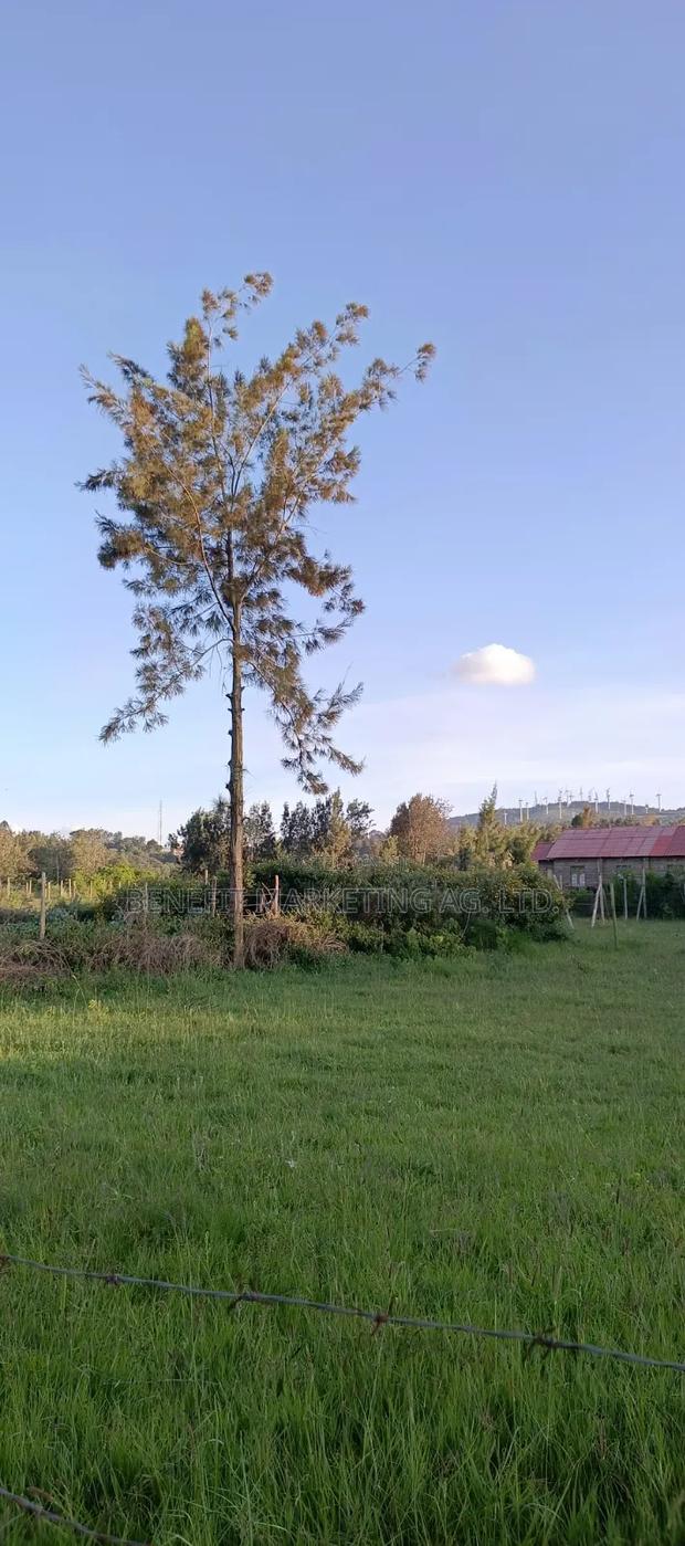 50*100 Plot for Sale in Ngong Maragara Road