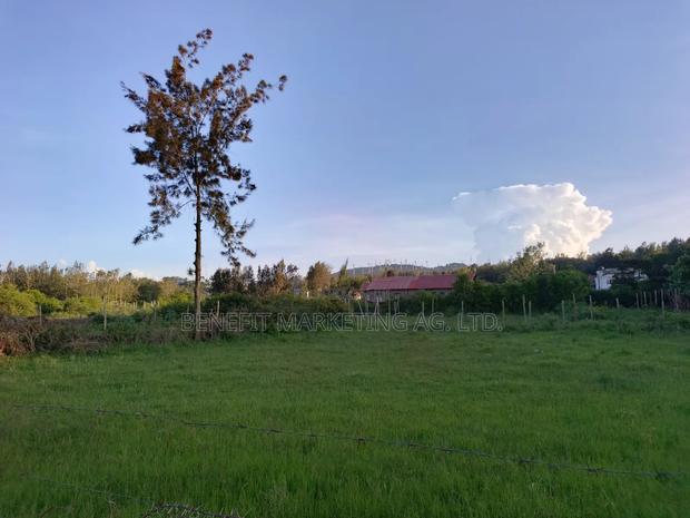 50*100 Plot for Sale in Ngong Maragara Road - thumbnail 5