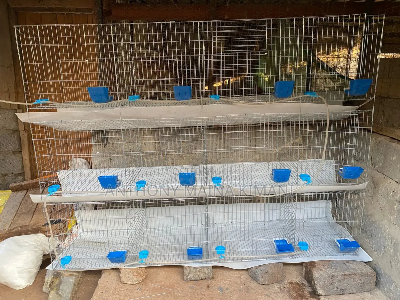 Poultry, Broiler and Rabbit Cages