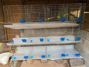 Poultry, Broiler and Rabbit Cages