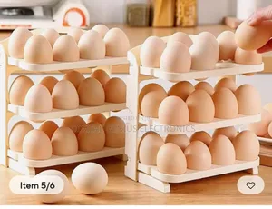 Foldable Egg Box