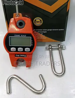 300kg Crane Scale