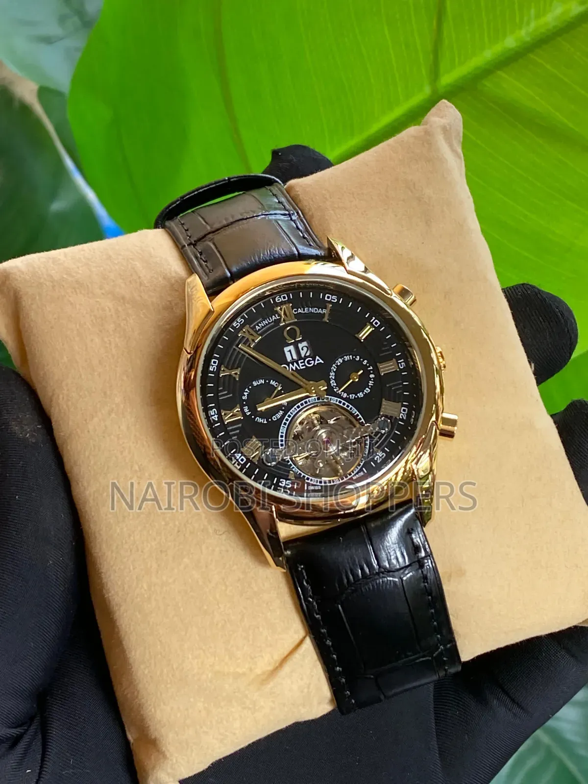 Mens Watch / Automatic Watch