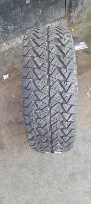 265/65r17 Petromax At