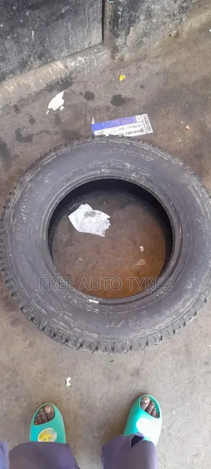 265/65r17 Petromax At