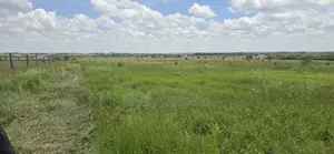 Prime Land