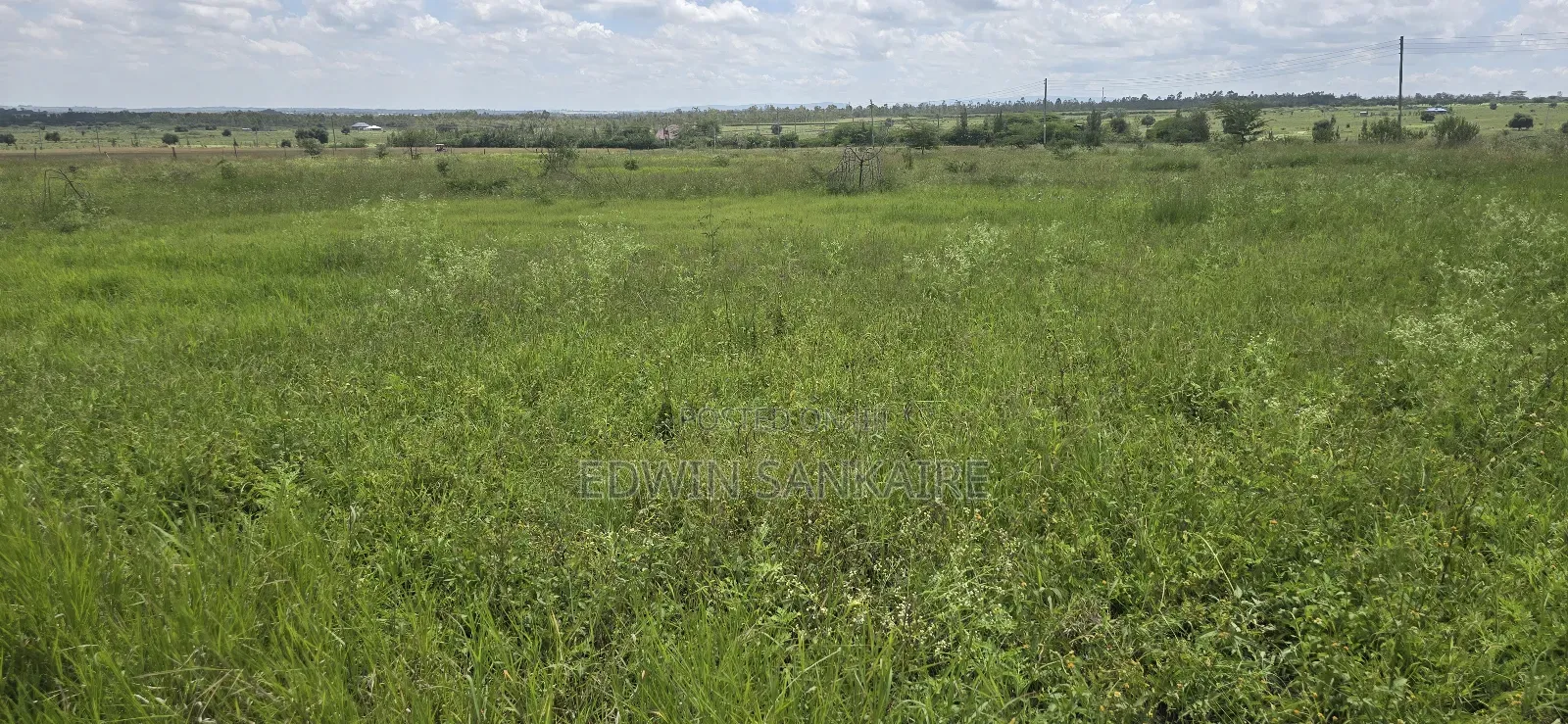 Prime Land