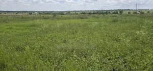 Prime Land