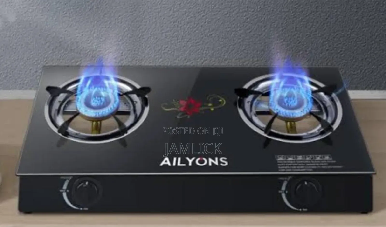 Ailyons Glass Cooker – Aw