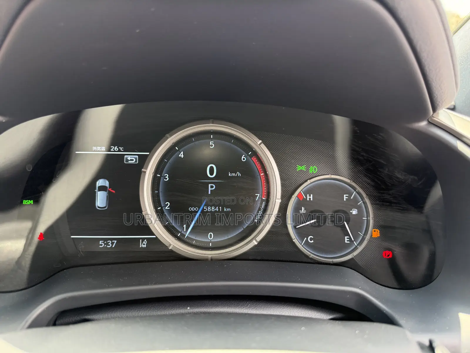 Lexus RX 300 4WD 2019 Gray