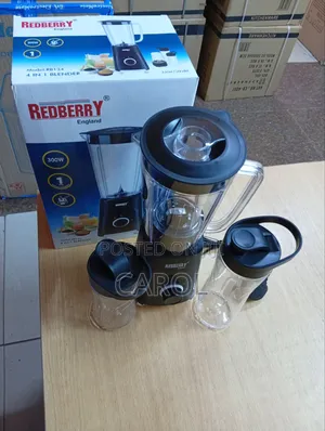 4 in 1 Unbreakable Blender at 2,799