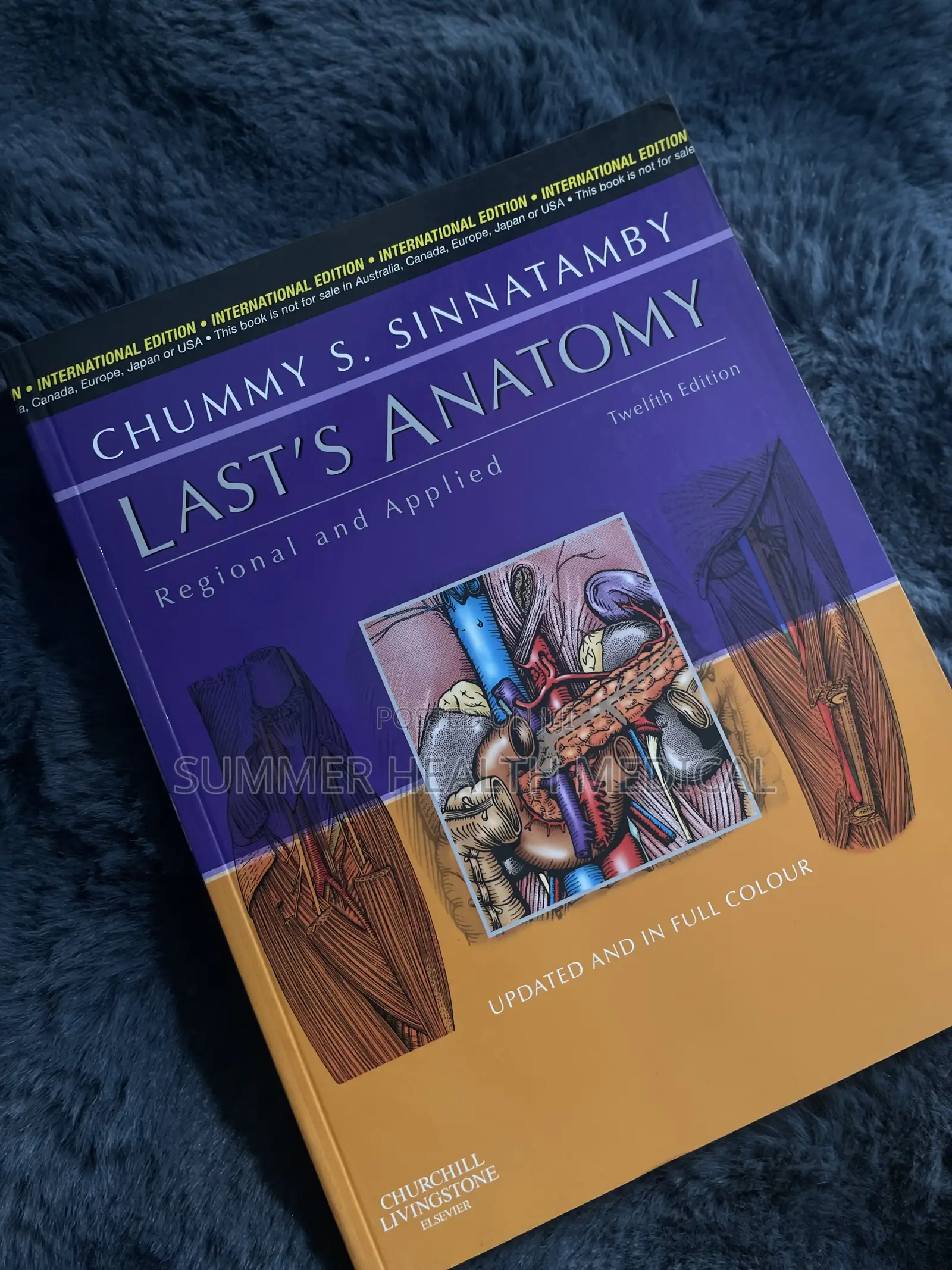 Last’S Anatomy