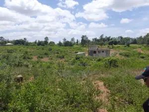 Ready-to-Build 1/8th Acre Plots in Mwea Karaba