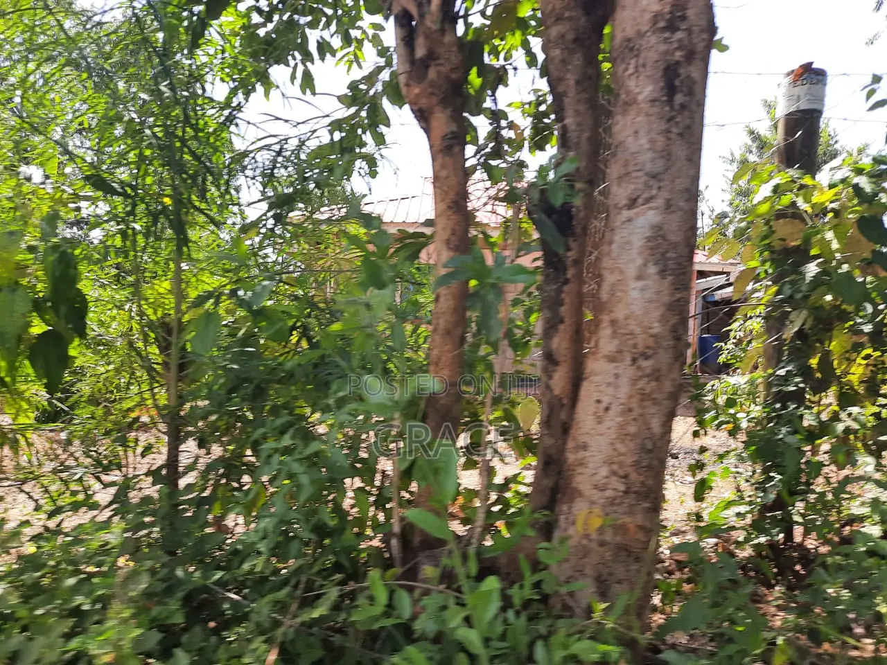 Ready-to-Build 1/8th Acre Plots in Mwea Karaba