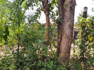 Ready-to-Build 1/8th Acre Plots in Mwea Karaba