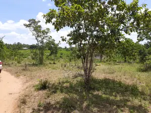Ready-to-Build 1/8th Acre Plots in Mwea Karaba