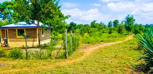 Ready-to-Build 1/8th Acre Plots in Mwea Karaba