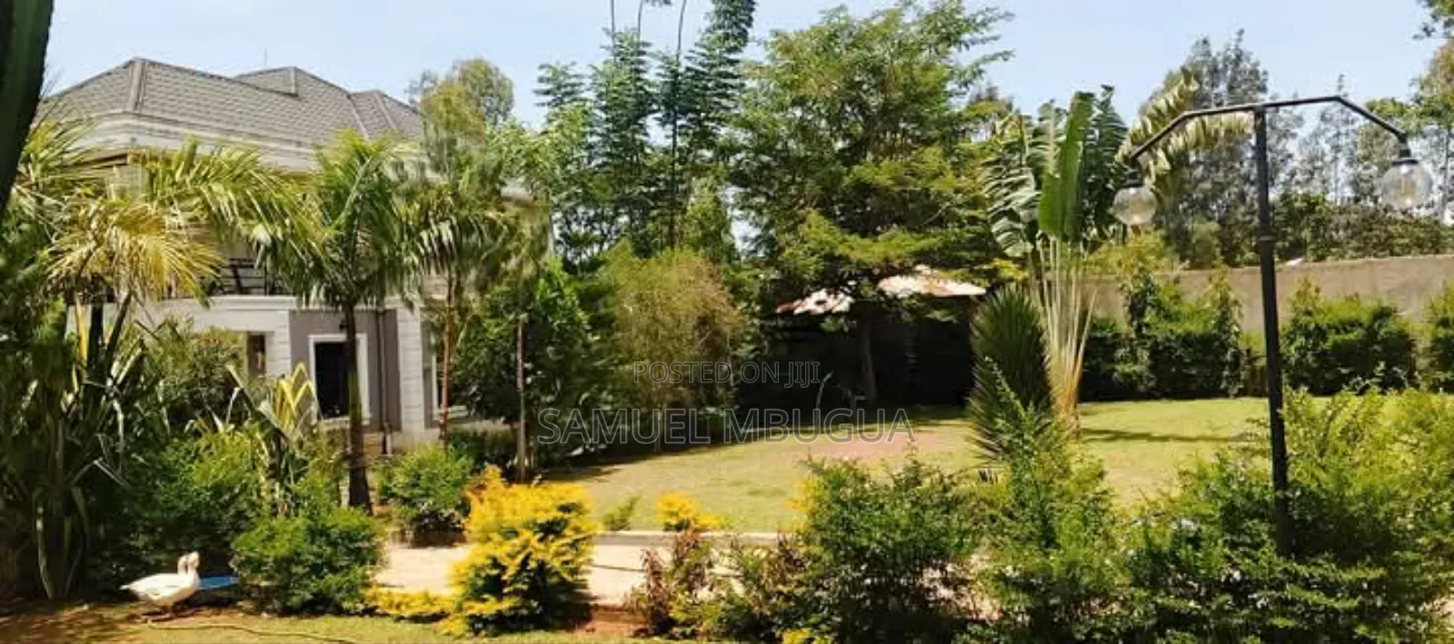 5bdrm House in Hardy for rent