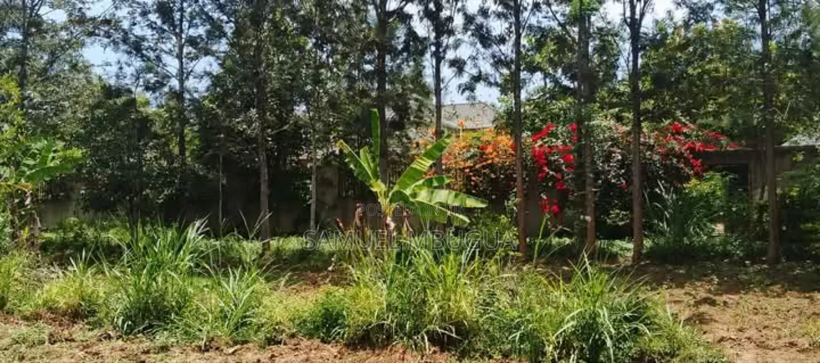 5bdrm House in Hardy for rent