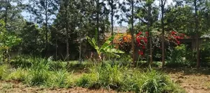 5bdrm House in Hardy for rent