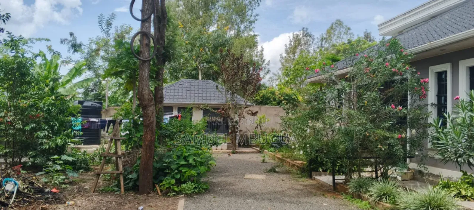 5bdrm House in Hardy for rent