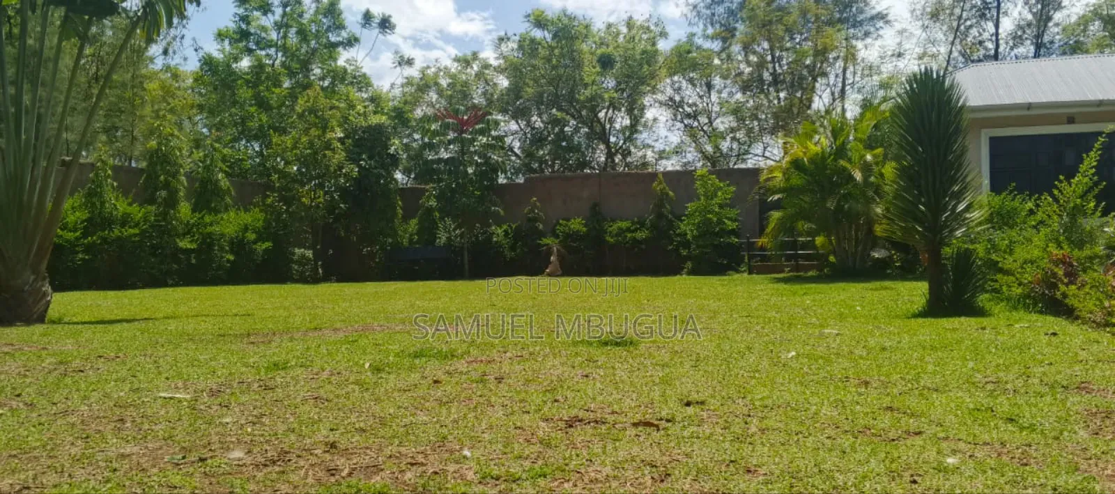5bdrm House in Hardy for rent