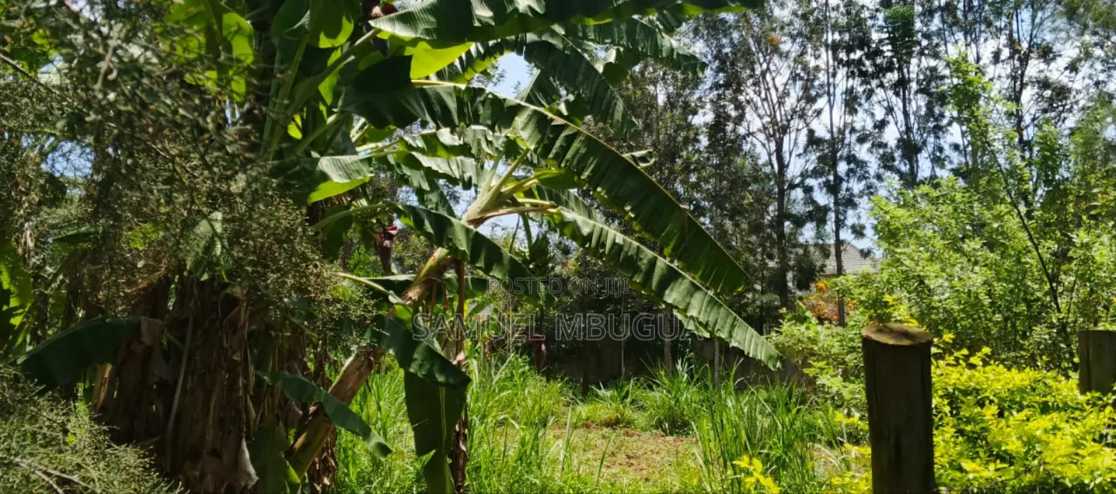 5bdrm House in Hardy for rent