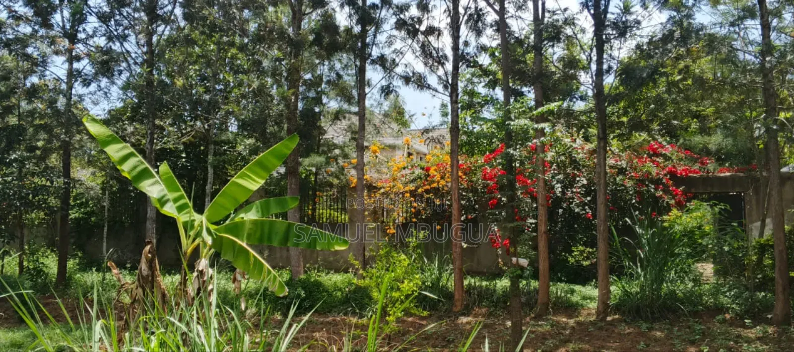 5bdrm House in Hardy for rent